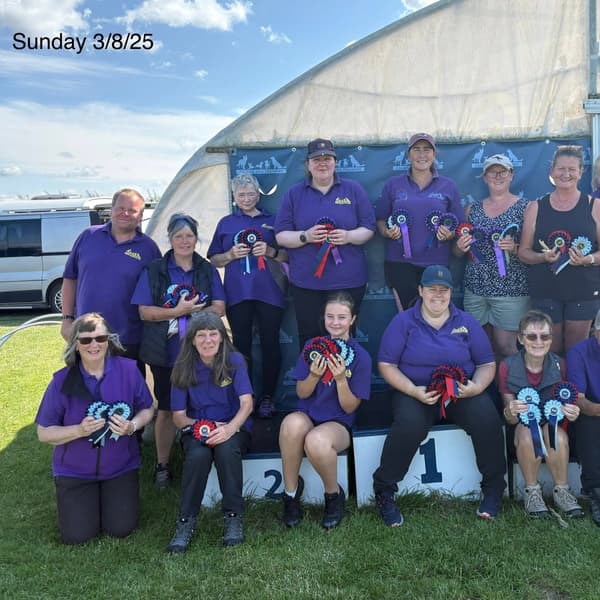 Calmer Dog Training photo 6