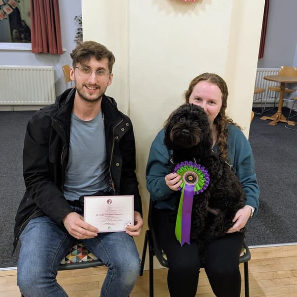 Calmer Dog Training photo 7