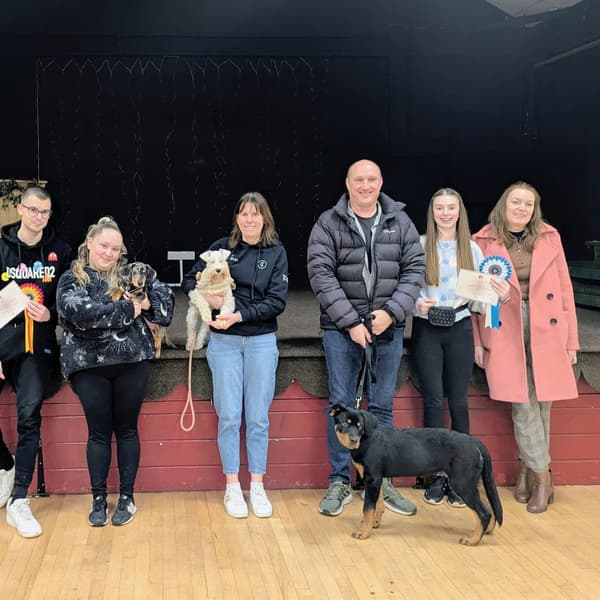 Calmer Dog Training photo 12
