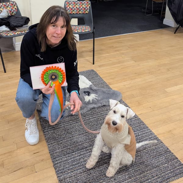 Calmer Dog Training photo 14