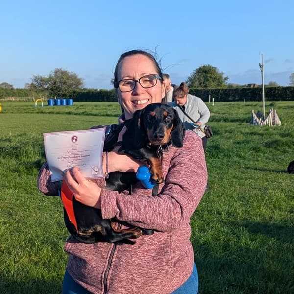 Calmer Dog Training photo 21