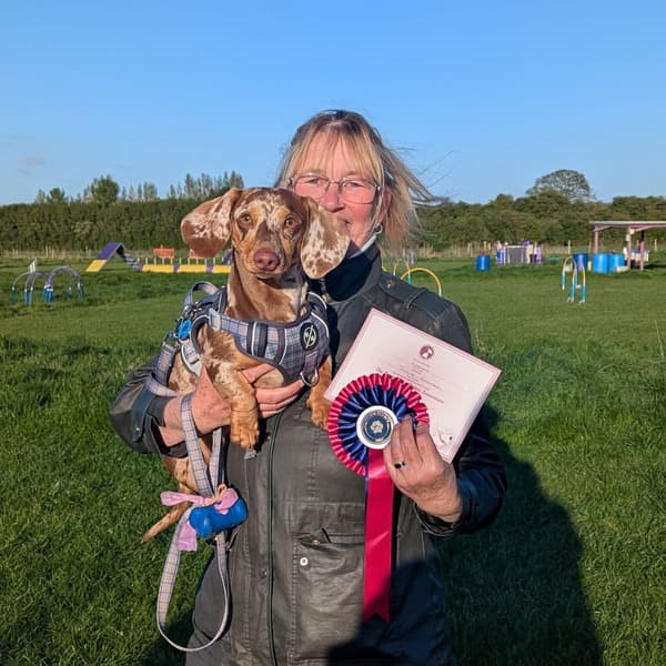 Calmer Dog Training photo 22