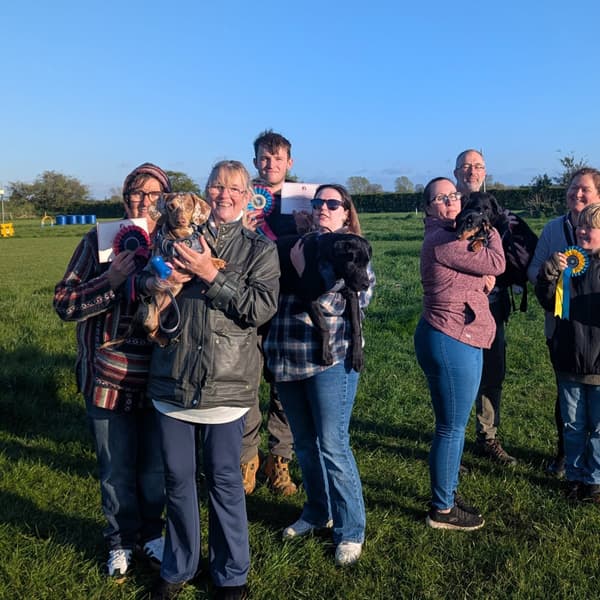 Calmer Dog Training photo 23
