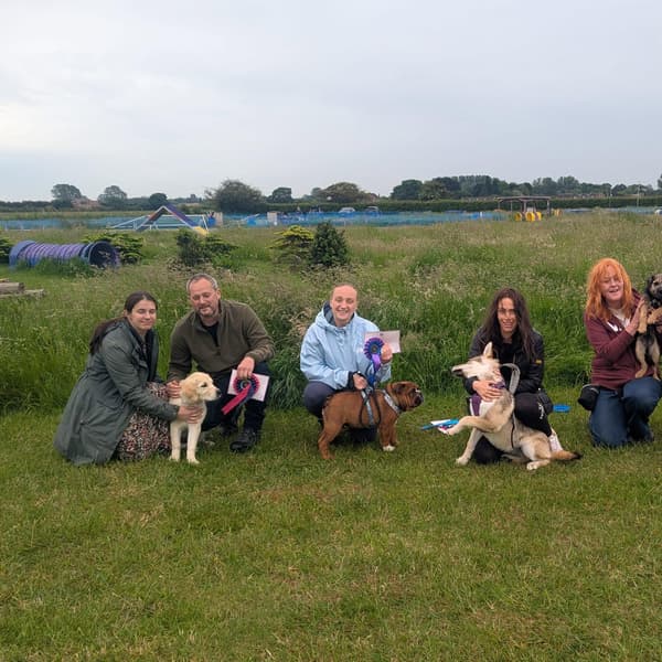 Calmer Dog Training photo 27