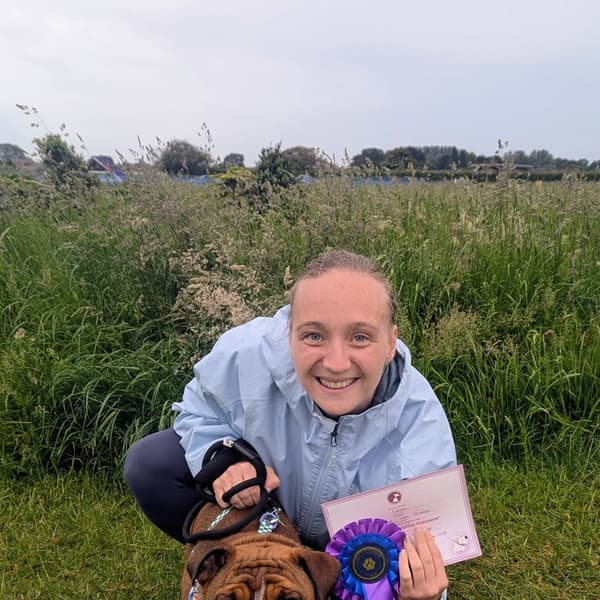 Calmer Dog Training photo 28