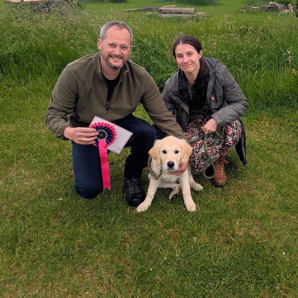 Calmer Dog Training photo 29