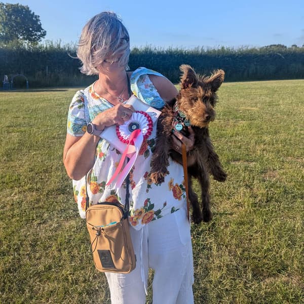 Calmer Dog Training photo 33