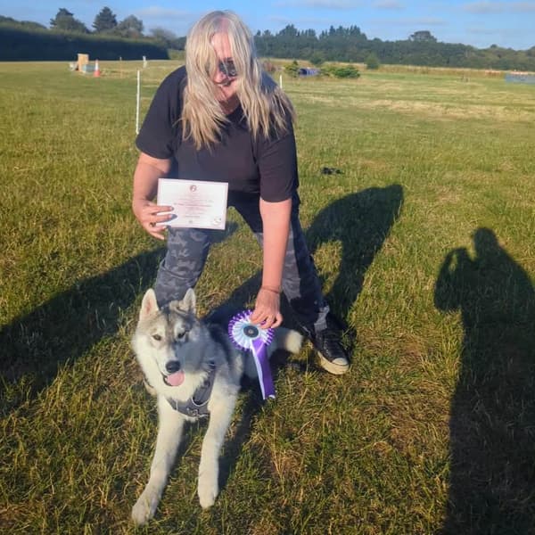 Calmer Dog Training photo 35