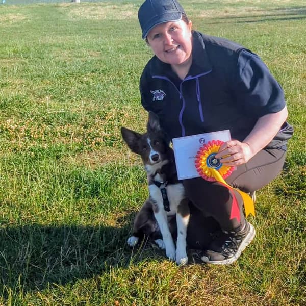Calmer Dog Training photo 37