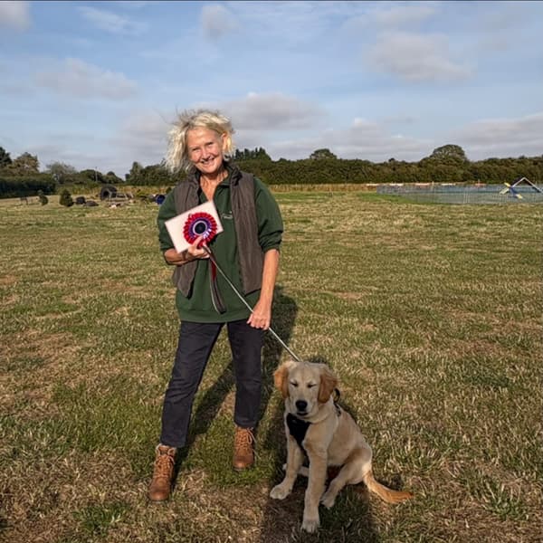 Calmer Dog Training photo 38